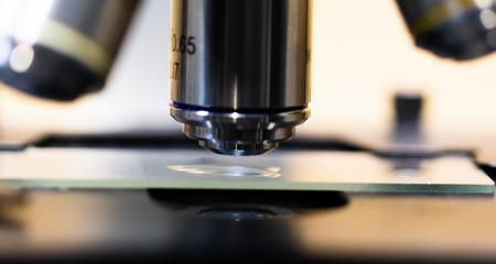 Fototapeta na wymiar Close up of examining of test sample under the microscope in laboratory.
