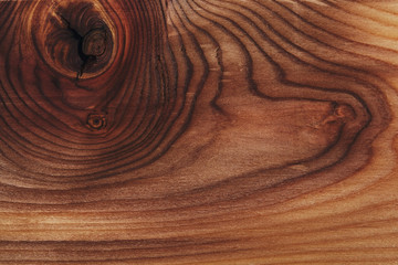Wood background, wood texture. A beautiful saw cut tree. A knot and rings of time close-up.