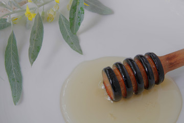
honey dipper with liquid honey on a background of green flowers.