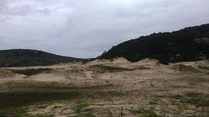 mountains with sand and forest