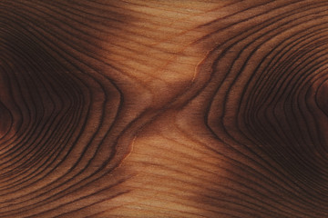 Texture cut wood. Beautiful wooden background