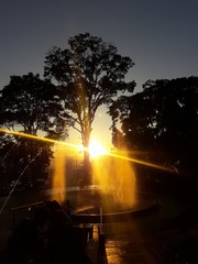Atardecer En Una Fuente