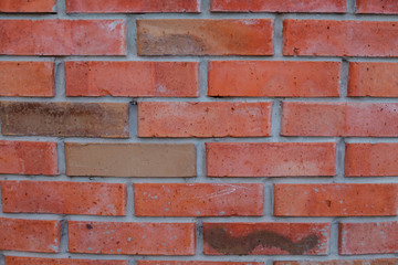 Fototapeta premium кирпичная стена,Brick wall,