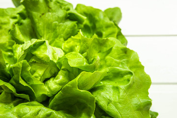 Fresh green lettuce salad on white background closeup. Seasonal vegetables and summer diet concept.