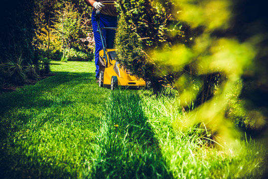 Mowing the grass. A man mows the grass with an electric mower. The concept of working in the garden and caring for the beauty of the garden. The gardener mows the grass with a battery mower.