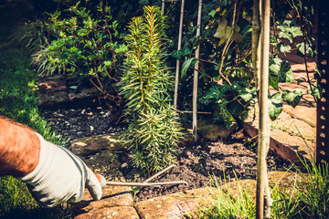 Soil raking. The concept of caring for the garden, the beauty of the garden. Allotment season. Support for work in the garden. Removing grass from the soil.