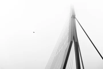 Fototapete Erasmusbrücke rotterdam brücke schwarz und weiß erasmusbrug erasmus niederlande abstrakt schwarz und weiß