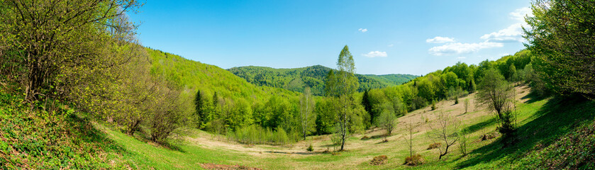 Fototapeta na wymiar Beautiful rural summer landscape with forest, blue sky and white clouds, panorama. spring landscape with panoramic views of meadow and mountains