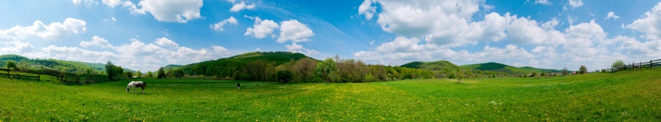 Wonderful panorama of the mountains. Horses on a mountain meadow. Summer panorama landscape in the mountains. Ukraine, Carpathians. Beautiful nature villages. Picture of wildlife