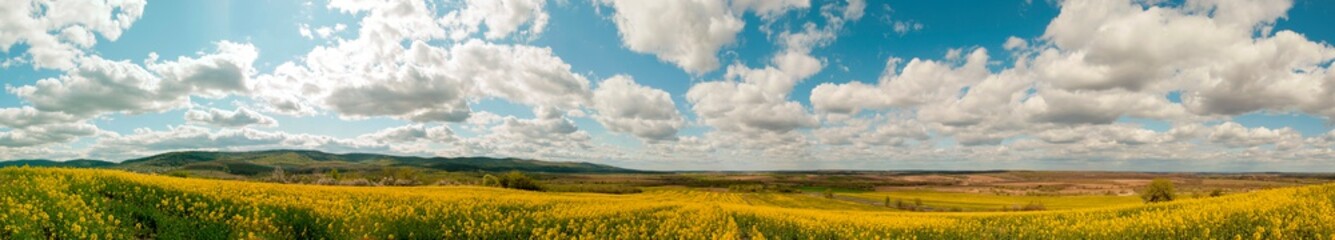 Panorama of yellow rapeseed valley. The mountains and the beautiful spring sky in the background