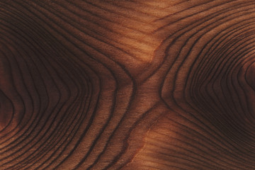 Beautiful wood texture. Cut wood. The background is wooden. double exposure, multiple exposure