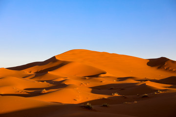 Naklejka na ściany i meble Sahara Desert. Merzouga Morocco.