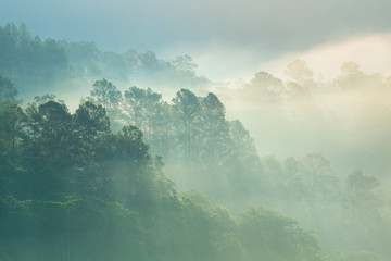 foggy morning landscape with sun rays in the mist in Dominican Republic mountains
