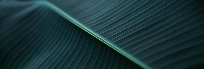 abstract green leaf with lines