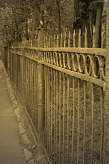 Black metal fence in the park. Road fence. Black and white photography