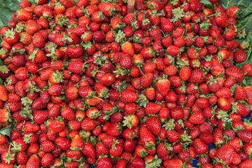 Fresh Organic Farm Delicious Strawberries