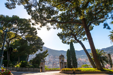 City garden on Avenue de la Porte Neuve in Monaco
