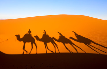 Fototapeta na wymiar Camels. Sahara Desert. Merzouga Morocco.