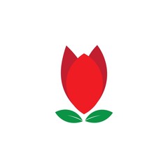 Obraz premium tulip flower illustration logo vector design