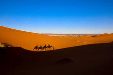 Fototapeta na wymiar Camels. Sahara Desert. Merzouga Morocco.
