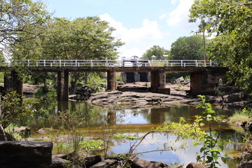 japanese garden with bridge