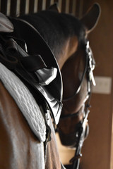Close up of an english saddle on a brown horse