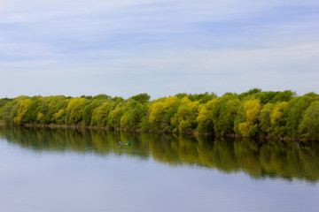 River and trees. Beautiful summer landscape