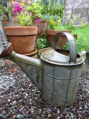 old metal galvanized watering can in garden
