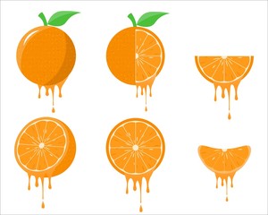 Set of Juicy, Fresh, Half, Sliced, Leaves, grains Orange Fruit Isolated on White Background. Juicy Orange Package.  Vector Design Illustration