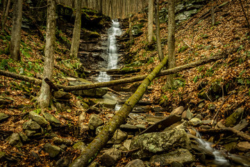 Fototapeta premium Natural water flow