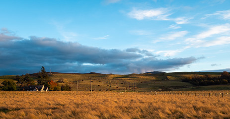 Scottish countryside landscape 
