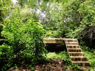 Treasures buried by nature