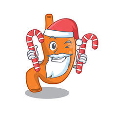 Friendly stomach dressed in Santa Cartoon character with Christmas candies