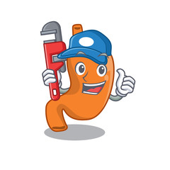 cartoon character design of stomach as a Plumber with tool