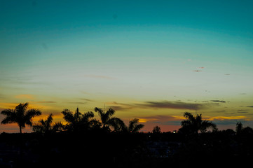 sunset in the jungle