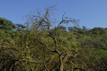 Monte Santiago del Estero