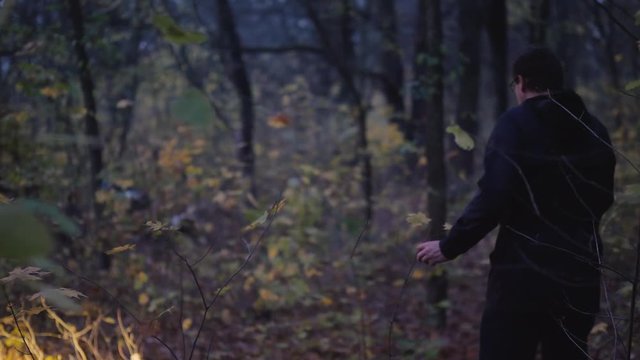 Back view of man with a flashlight in his hand walks through a dark forest. Search for a lost child