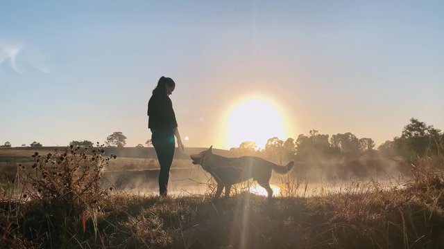 Silhouette of young woman and German Shepherd dog in sunrise together. Static shot wide angle.