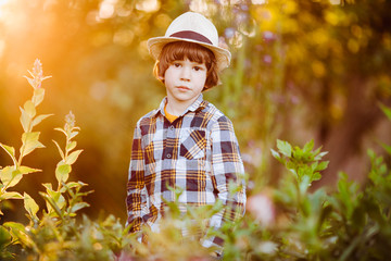 Portrait of a boy at sunset in summer. Child in the backlight. Kid in summertime