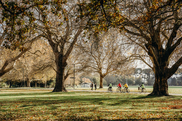 17/5/2020 People workout outdoors, the golden autumn  at Hagley park, Christchurch, New zealand. During COVID-19 Level 2 situation.