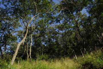 Monte Santiago del Estero