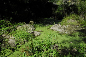 Monte Santiago del Estero