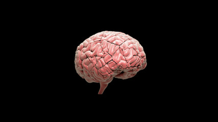 Brain damage, isolated brain cracked on black background
