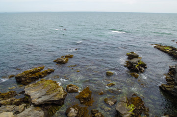 城ヶ島ハイキングコースから見る太平洋