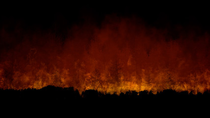 Forest Fire Starting and Spreading Fast on Multiple Levels at Night. Silhouette of Trees Burning with Smoke Rising. Dramatic Scene of Natural Disaster