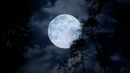 Fototapeta na wymiar Centered full moon behind tree branches on cloudy night