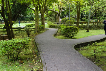 Fork of the pathway in the park with tree and grass.