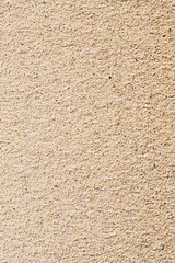 Fototapeta na wymiar Sand texture at dawn in Thailand with large shells