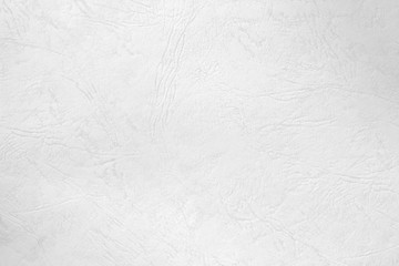 Elephant Leather Paper texture and background.