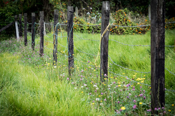 Cerca de madera en terreno de campo